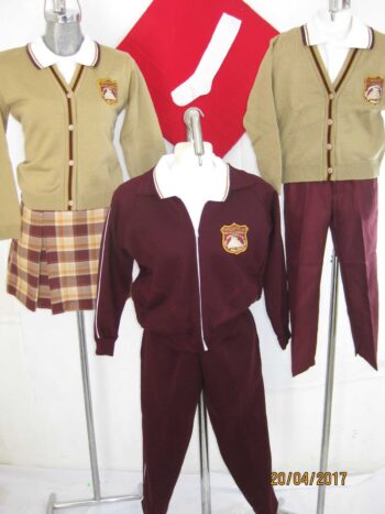 PRIMARIA TENOCHTITLAN