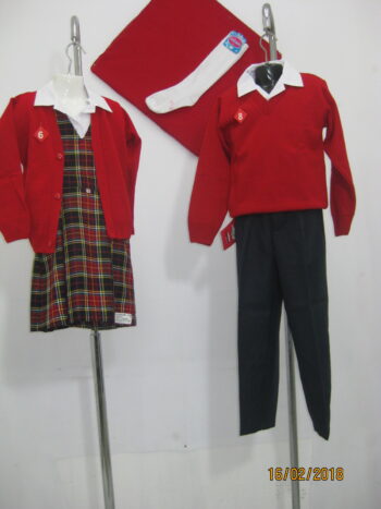PRIMARIA LÁZARO CÁRDENAS (SANTA ANITA)