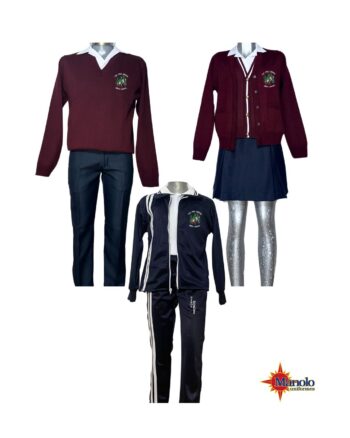 PRIMARIA NIÑOS HÉROES (SFR)